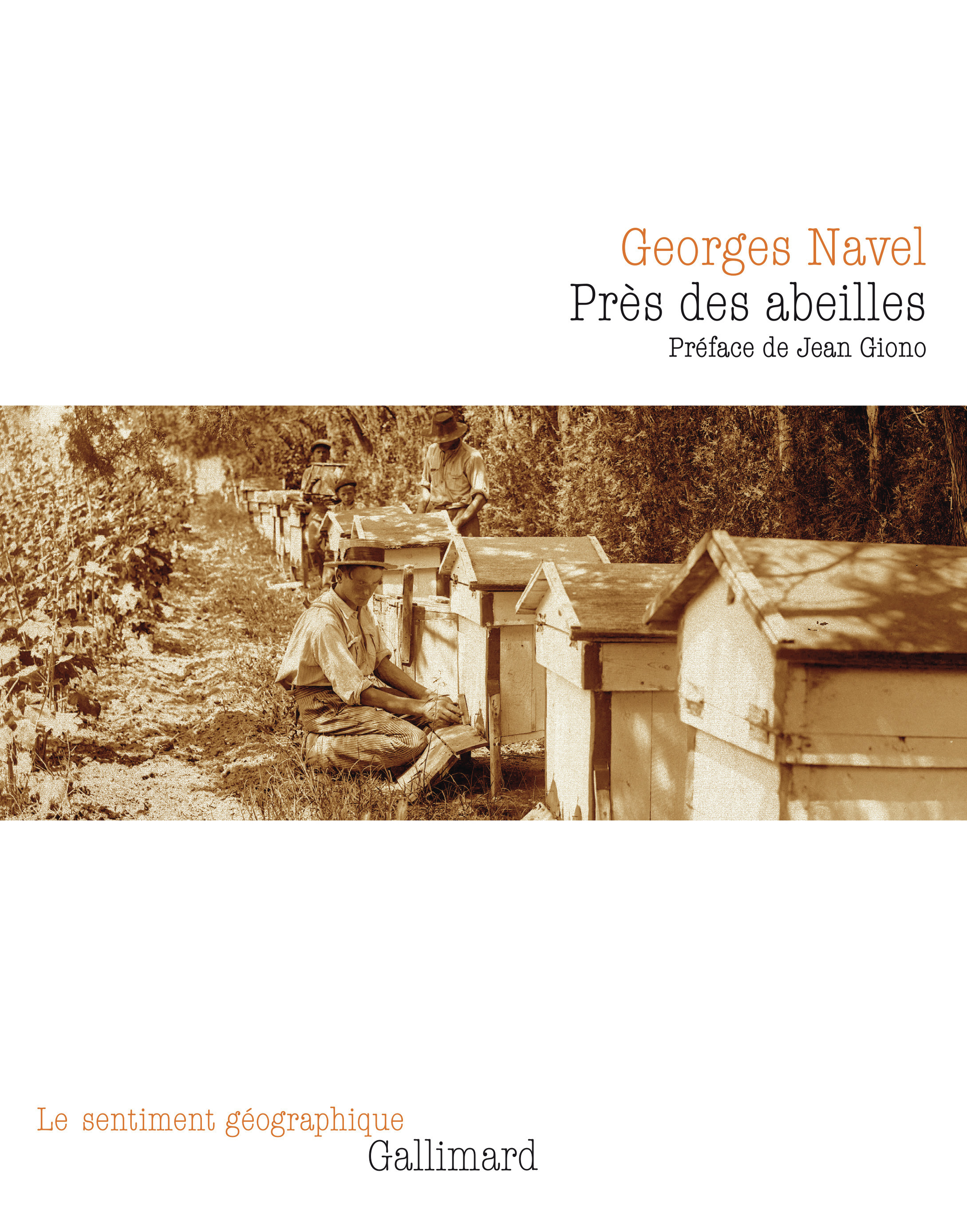 Près des abeilles (9782073096845-front-cover)
