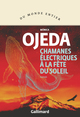 Chamanes électriques à la fête du Soleil (9782073075406-front-cover)