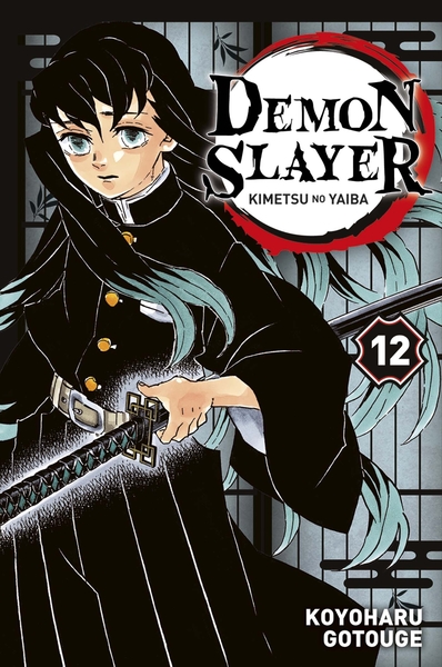 Demon Slayer T12 (9782809490084-front-cover)