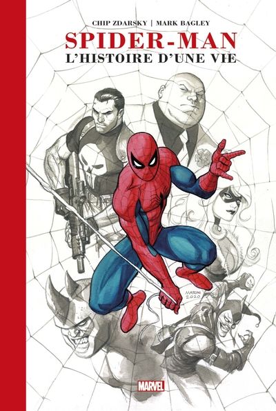 Spider-Man : L'histoire d'une vie (Edition prestige) (9782809493115-front-cover)
