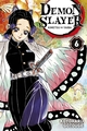 Demon Slayer T06 (9782809478181-front-cover)