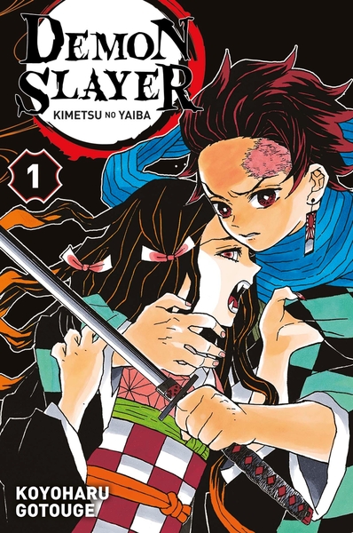 Demon Slayer T01 (9782809482317-front-cover)
