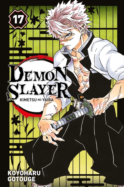 Demon Slayer T17 (9782809496987-front-cover)