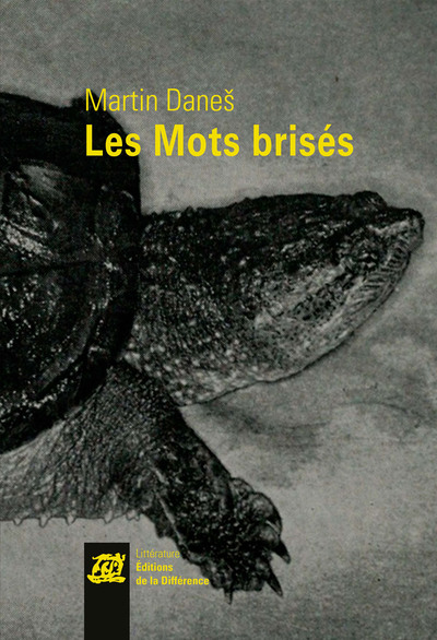 Les Mots brisés (9782729123536-front-cover)