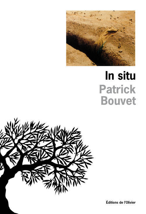 In Situ (9782879291895-front-cover)