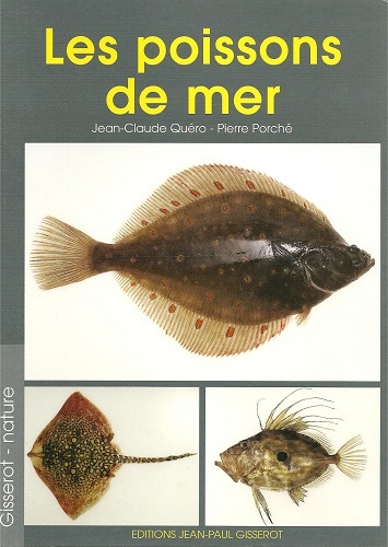 LES POISSONS DE MER (9782877477918-front-cover)