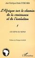 L'Afrique sur le chemin de la croissance et de l'évolution, Les défis du NEPAD (9782747555234-front-cover)