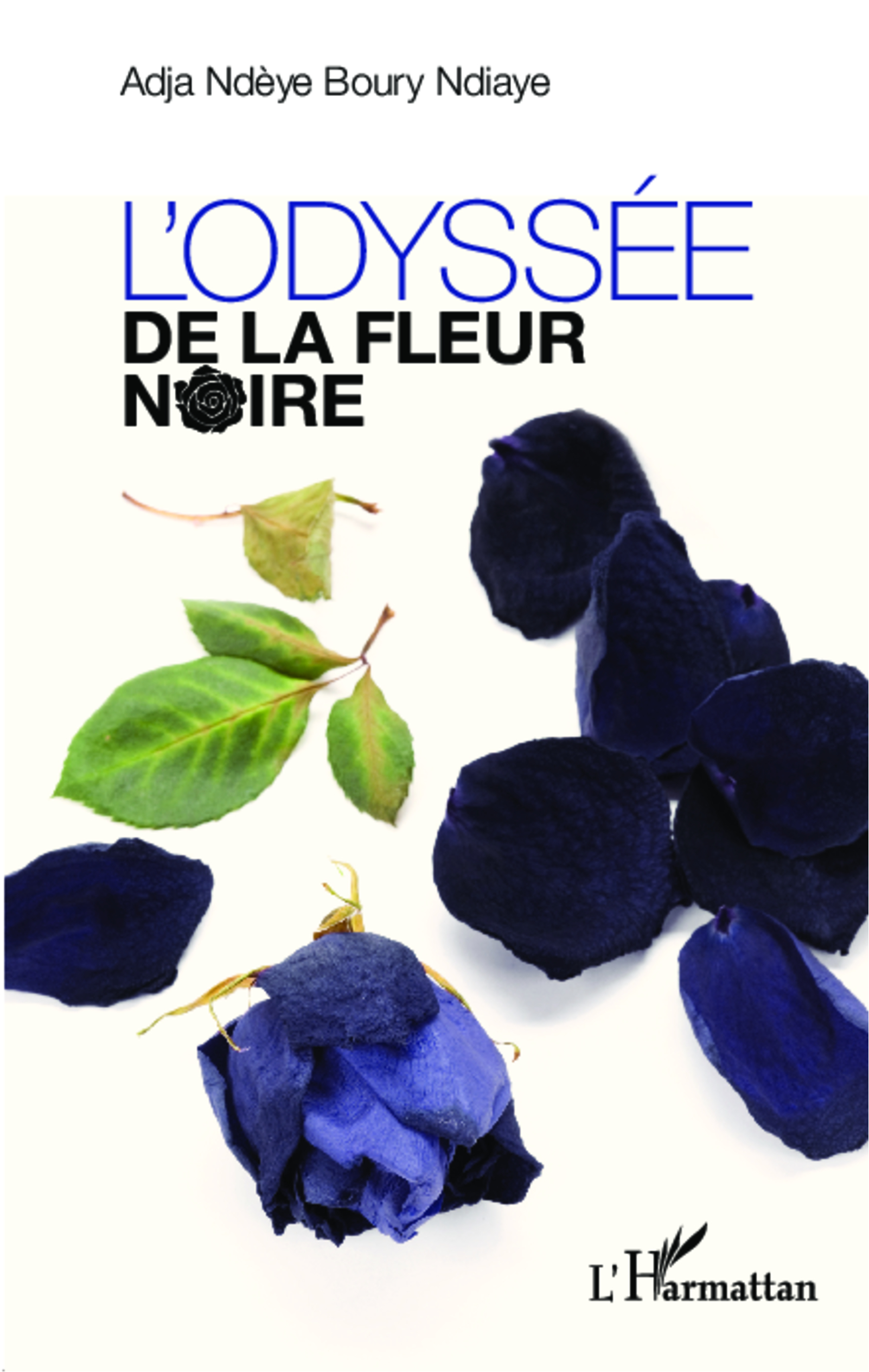 L'odyssée de la fleur noire (9782336304878-front-cover)