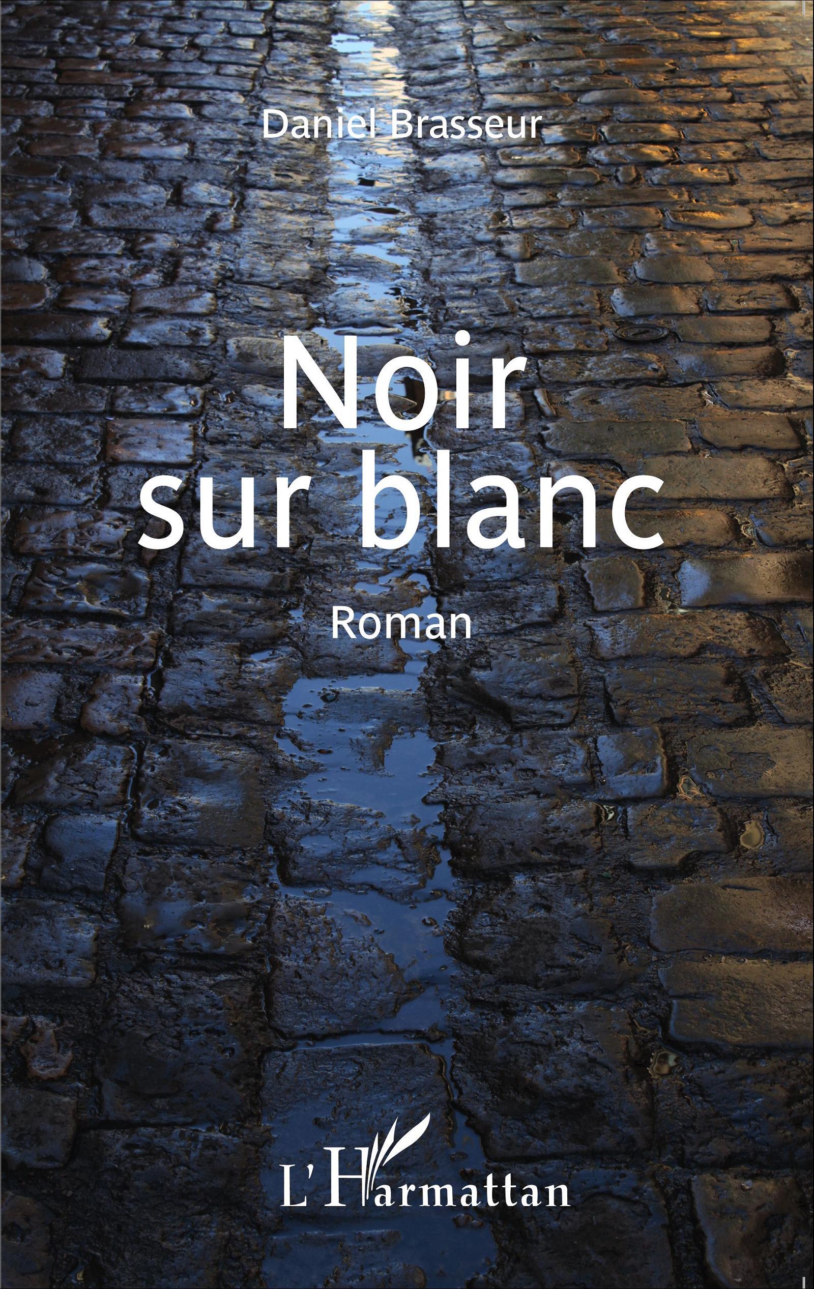 Noir sur blanc, Roman (9782336302683-front-cover)