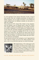 Ténéré, Le désert des déserts au temps de l'arbre - 700 km à dos de chameau sur la route de l'Azalaï (Niger) (9782336307435-back-cover)