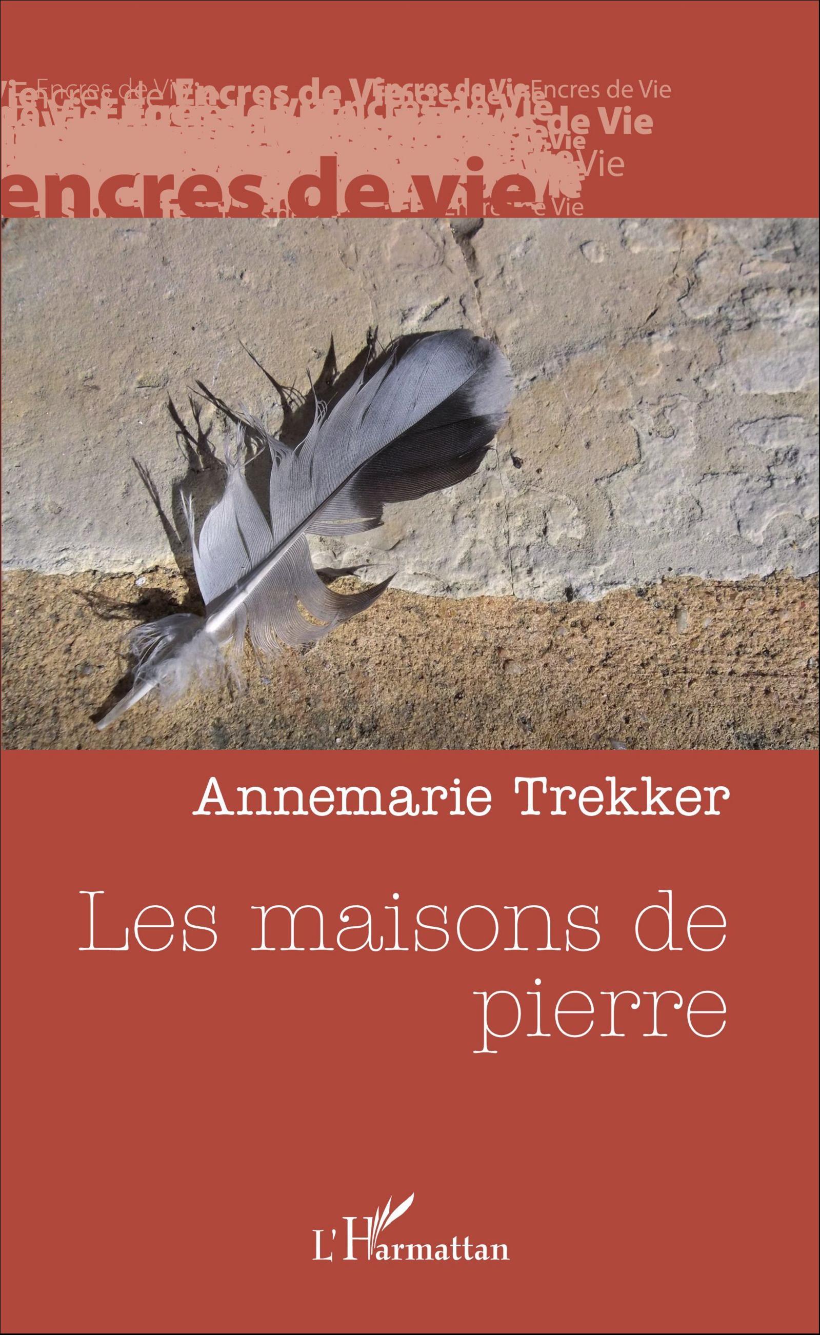 Les maisons de pierre (9782336308432-front-cover)