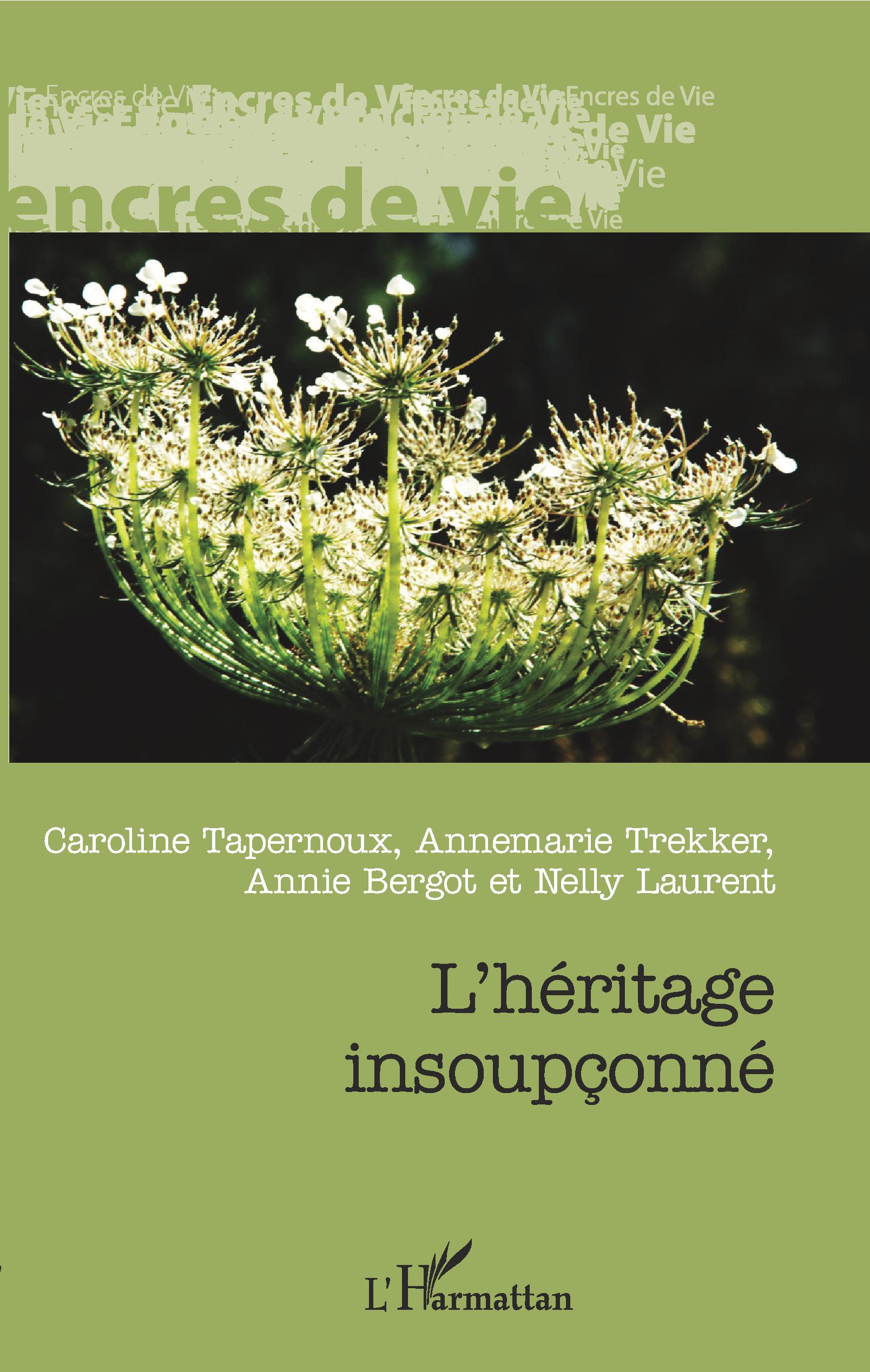 L'héritage insoupçonné (9782336308586-front-cover)