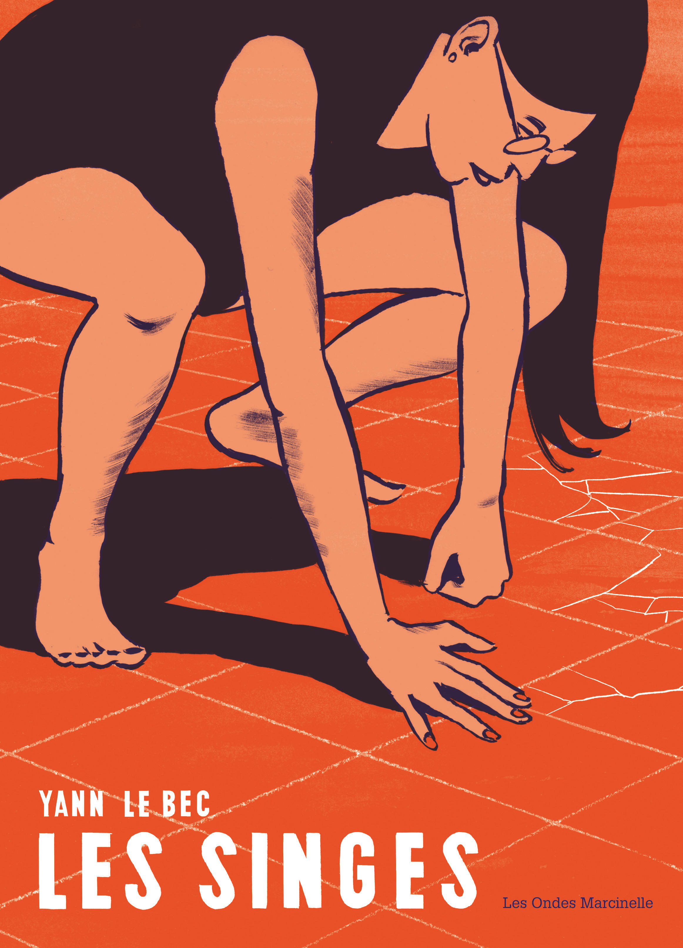 Les singes (9782808501927-front-cover)