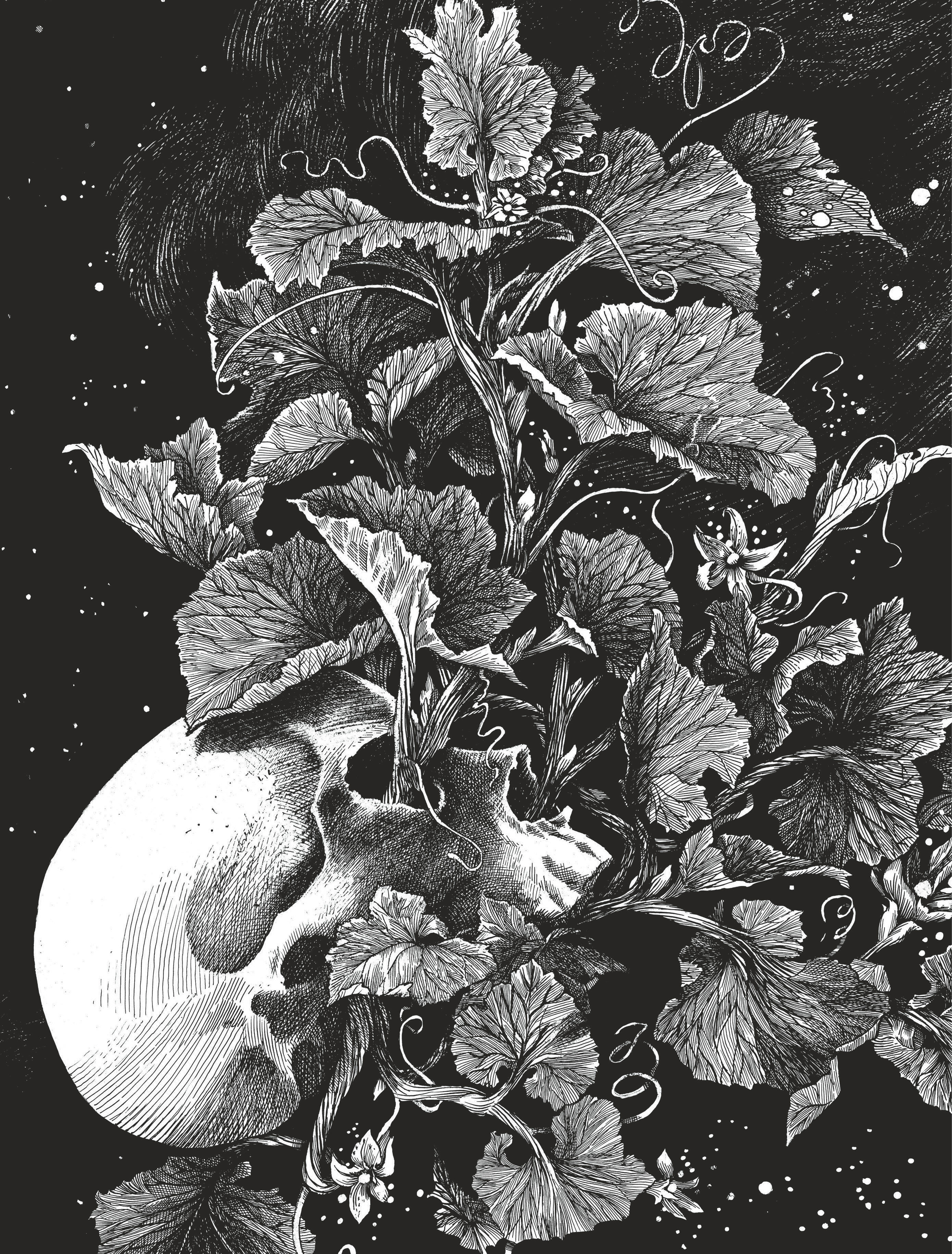 La tête de mort venue de Suède (9782808513104-front-cover)