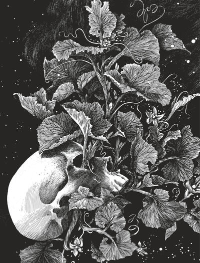 La tête de mort venue de Suède (9782808513104-front-cover)