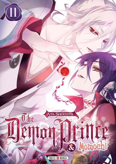 The Demon Prince and Momochi T11 (9782302065499-front-cover)