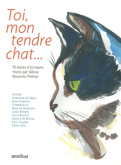 Toi, mon tendre chat (9782258106451-front-cover)