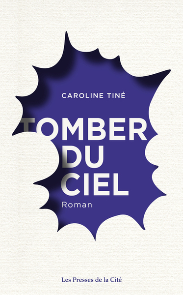 Tomber du ciel (9782258194045-front-cover)
