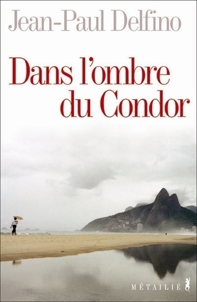 Dans l'ombre du Condor (9782864245766-front-cover)