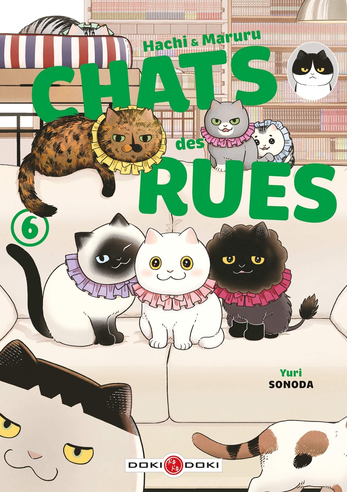 Hachi & Maruru - Chats des rues - vol. 06 (9791041113408-front-cover)