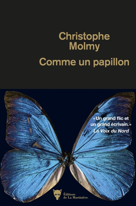 Comme un papillon (9791040117018-front-cover)