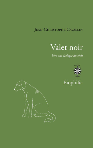 Valet noir, Vers une écologie du récit (9782714312532-front-cover)