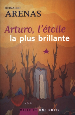 Arturo, l'étoile la plus brillante (9782842058661-front-cover)
