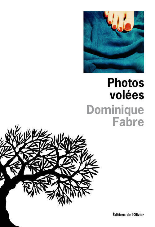 Photos volées (9782823600711-front-cover)