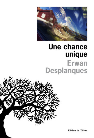 Une chance unique (9782823609677-front-cover)