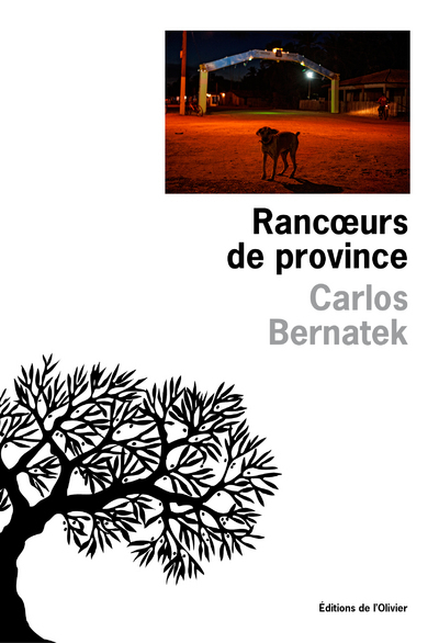 Rancoeurs de province (9782823605808-front-cover)
