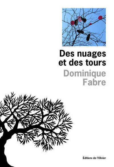 Des nuages et des tours (9782823601541-front-cover)