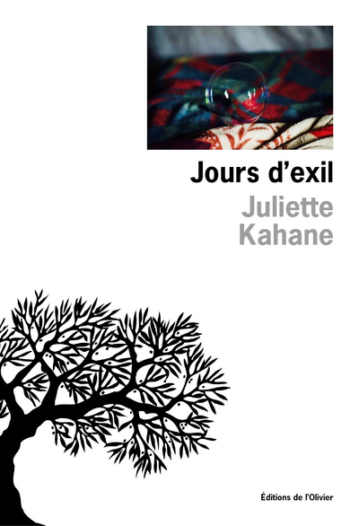Jours d'exil (9782823611168-front-cover)