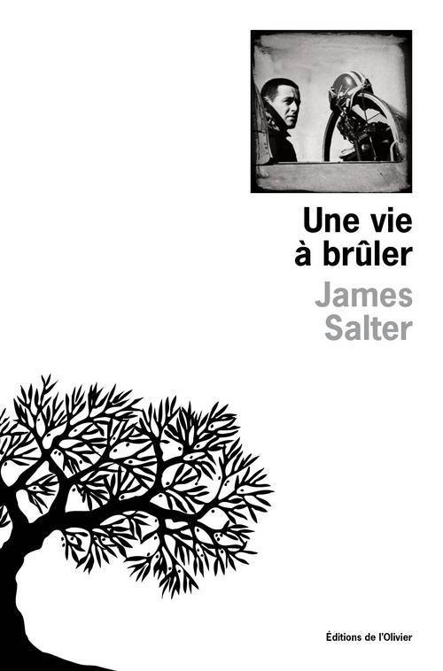 Une vie à brûler (9782823602555-front-cover)