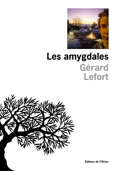 Les Amygdales (9782823608915-front-cover)