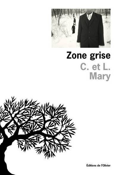 Zone Grise (9782823603736-front-cover)