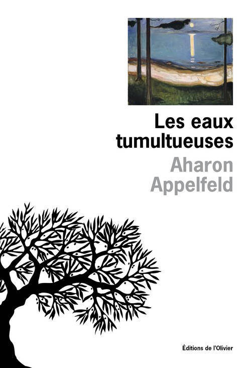 Les Eaux tumultueuses (9782823600148-front-cover)