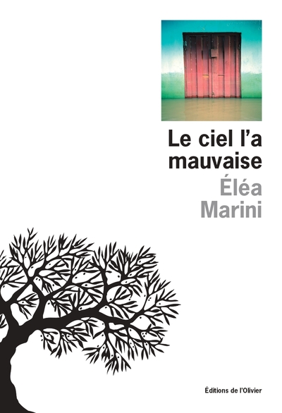 Le Ciel l'a mauvaise (9782823622317-front-cover)