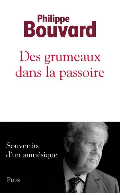 Des grumeaux dans la passoire (9782259305037-front-cover)