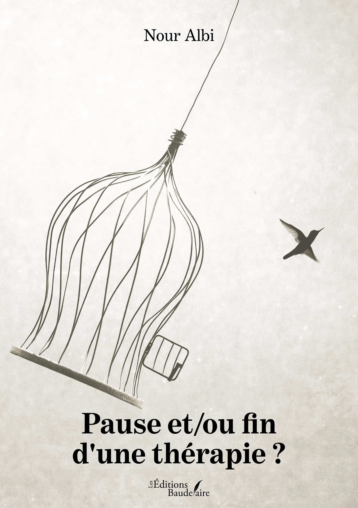 Pause et/ou fin d'une thérapie ? (9791020349101-front-cover)