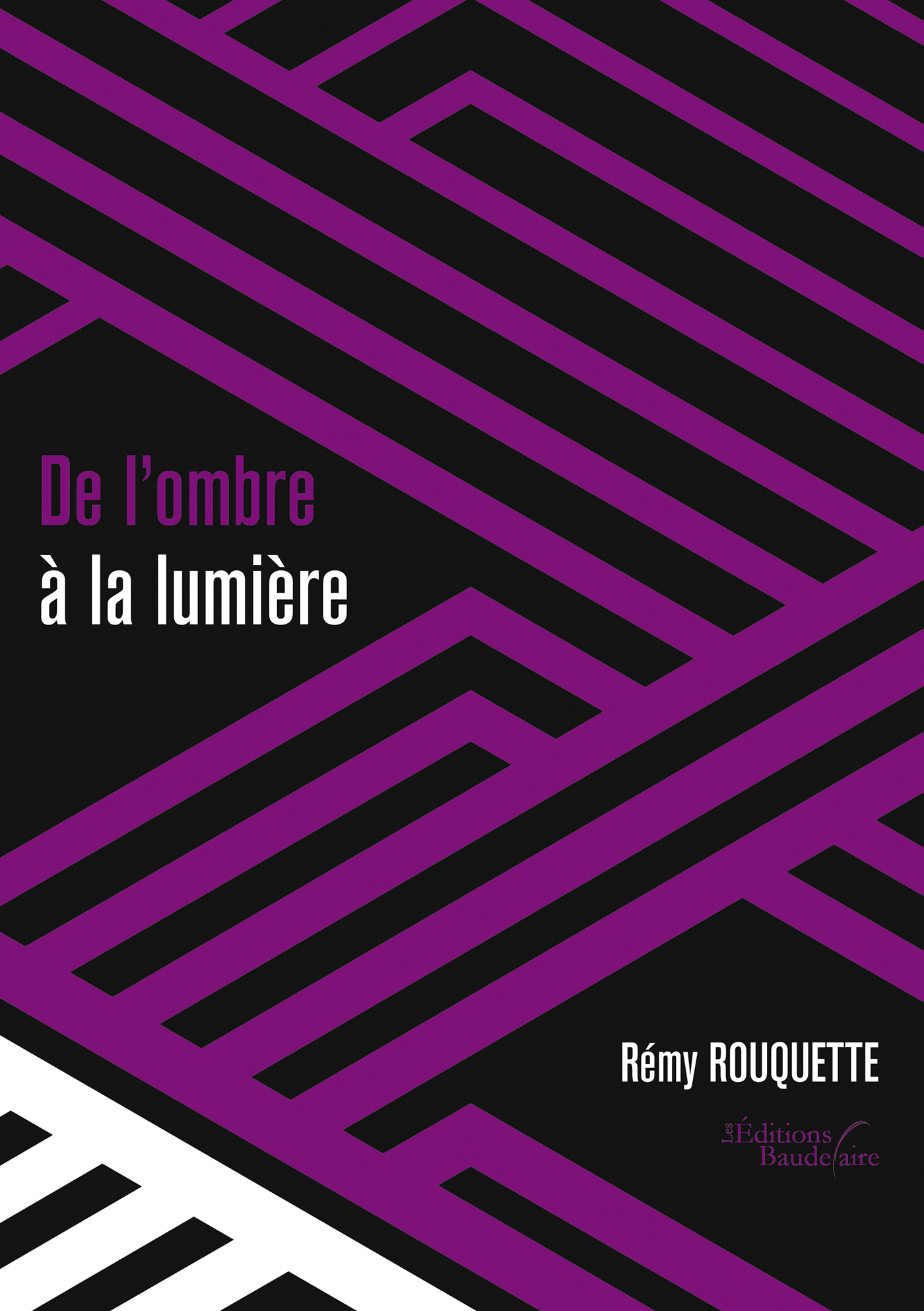 De l'ombre à la lumière (9791020312846-front-cover)