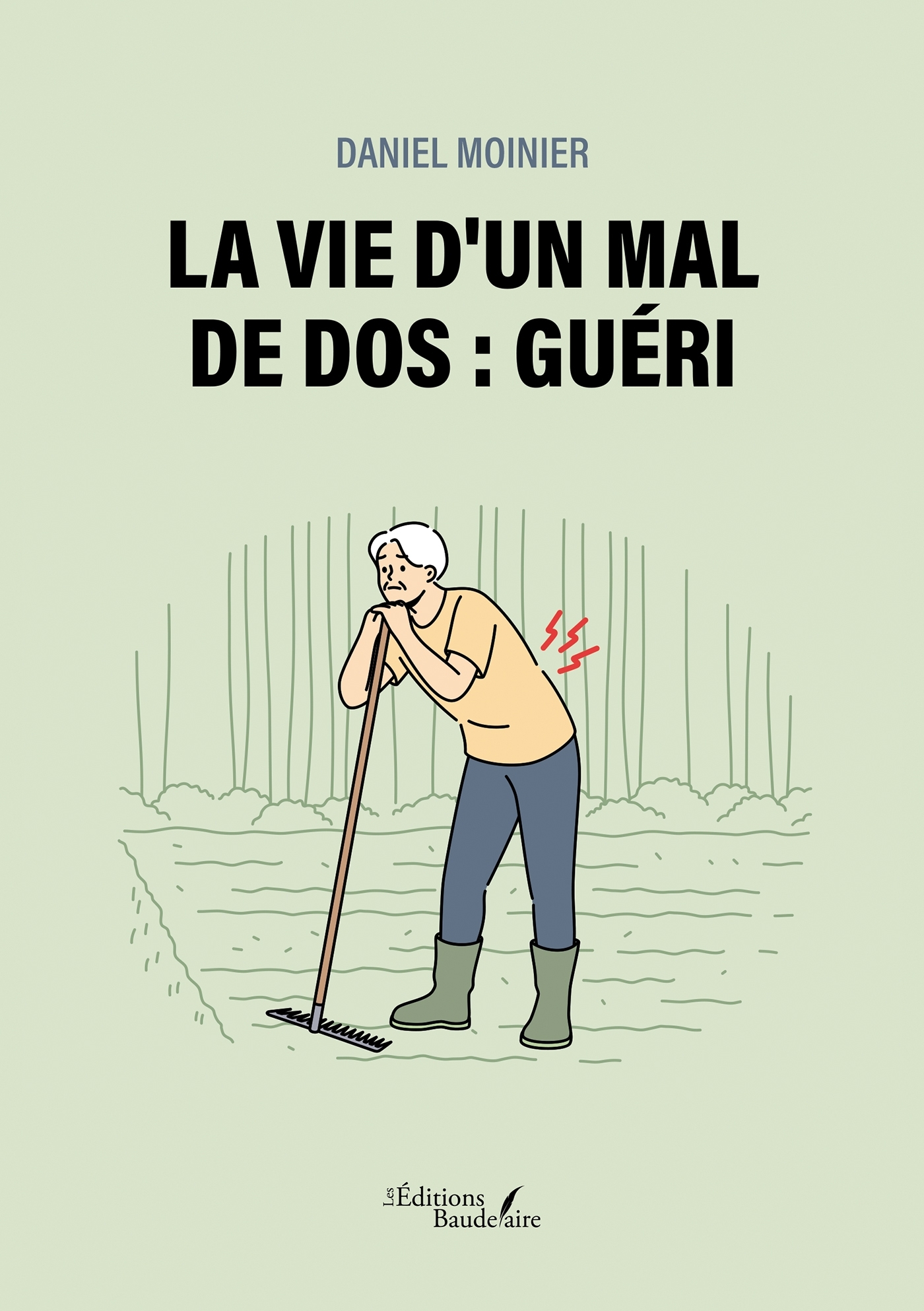 La vie d'un mal de dos : Guéri (9791020369062-front-cover)