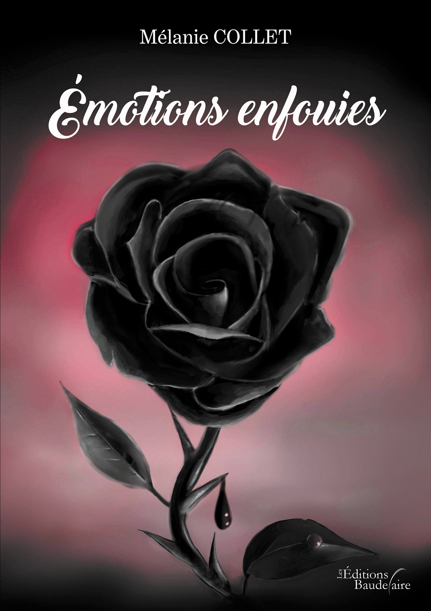 Émotions enfouies (9791020343857-front-cover)