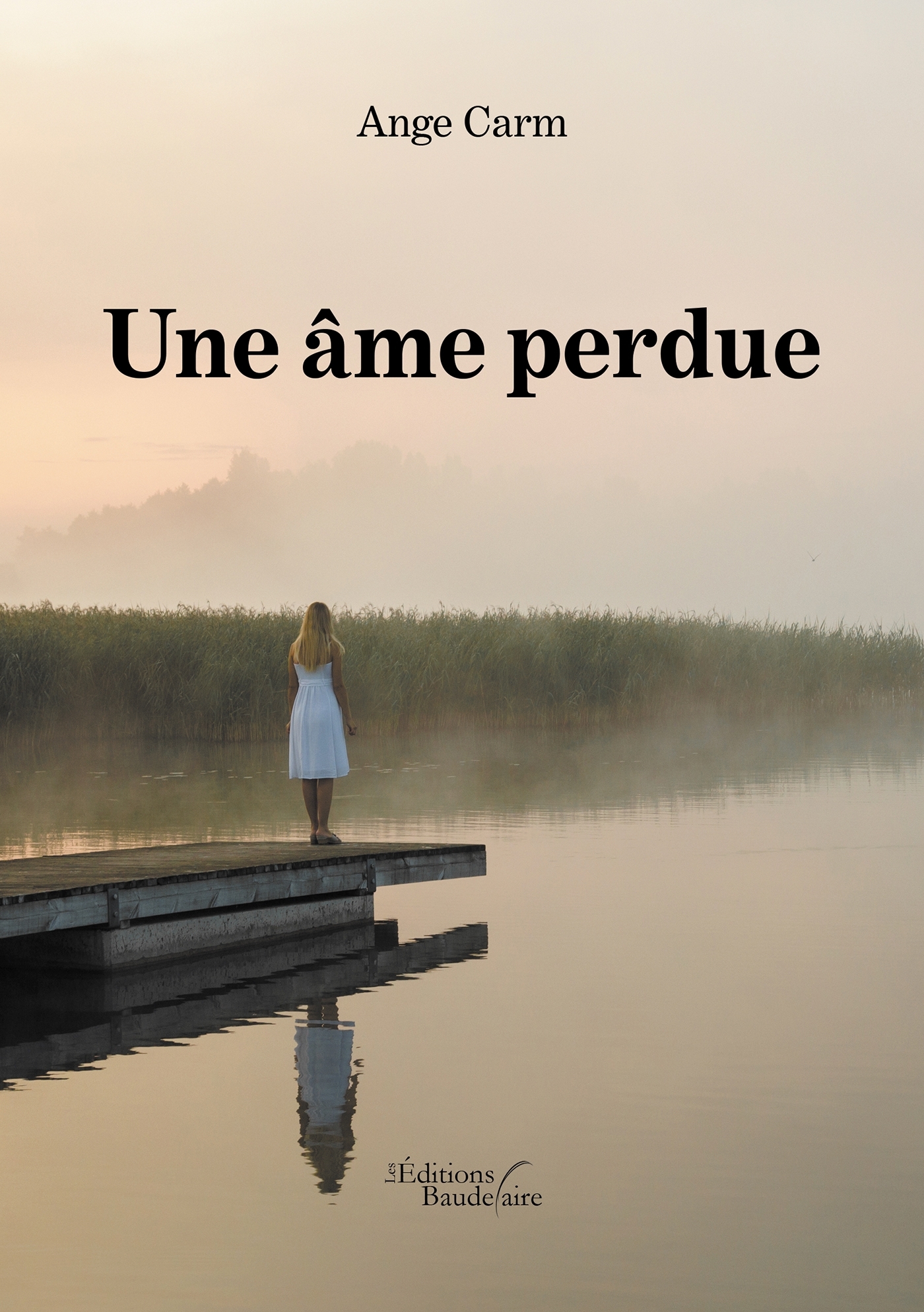 Une âme perdue (9791020338020-front-cover)