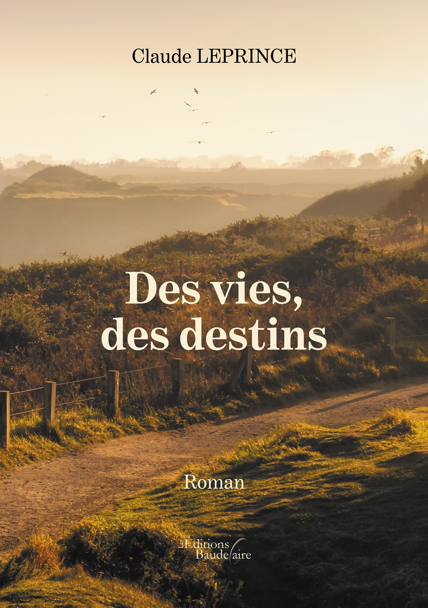 Des vies, des destins (9791020341440-front-cover)