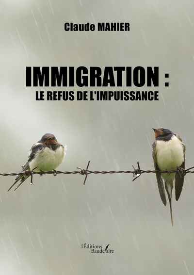 Immigration : Le refus de l'impuissance (9791020360434-front-cover)