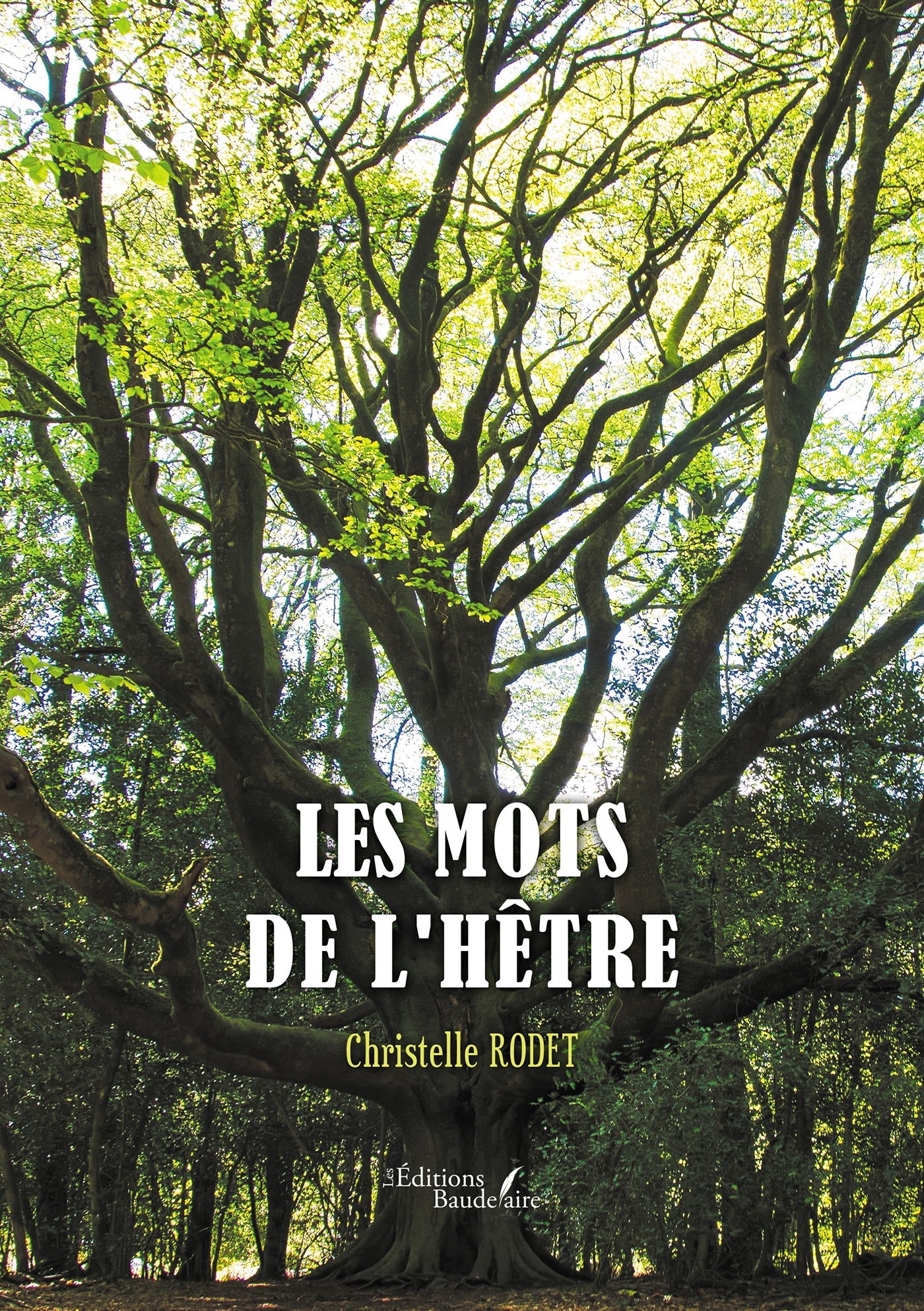 Les mots de l'hêtre (9791020358875-front-cover)