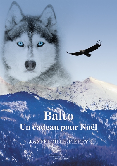 Balto - Un cadeau pour Noël (9791020343703-front-cover)
