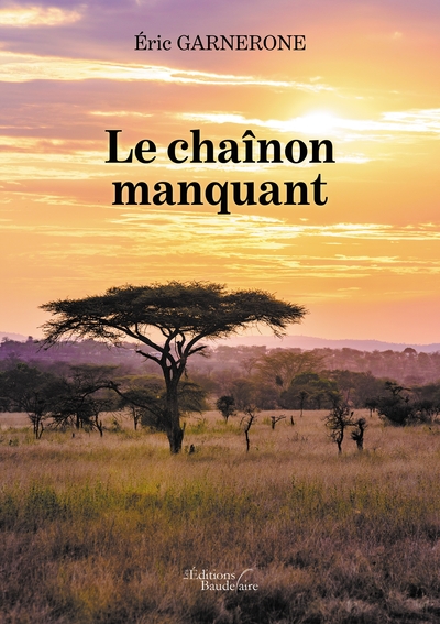 Le chaînon manquant (9791020338457-front-cover)