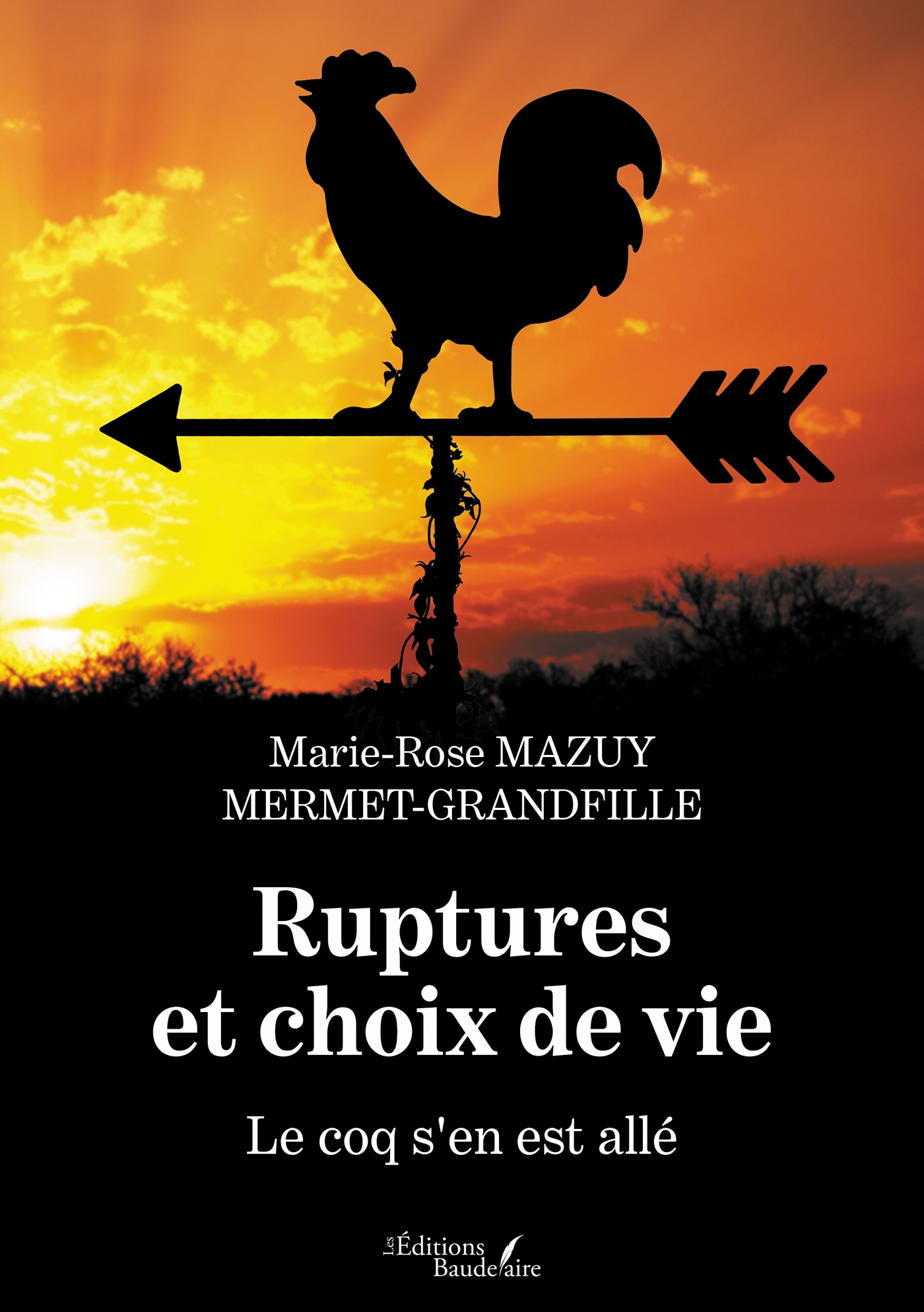 Ruptures et choix de vie - Le coq s'en est allé (9791020349118-front-cover)