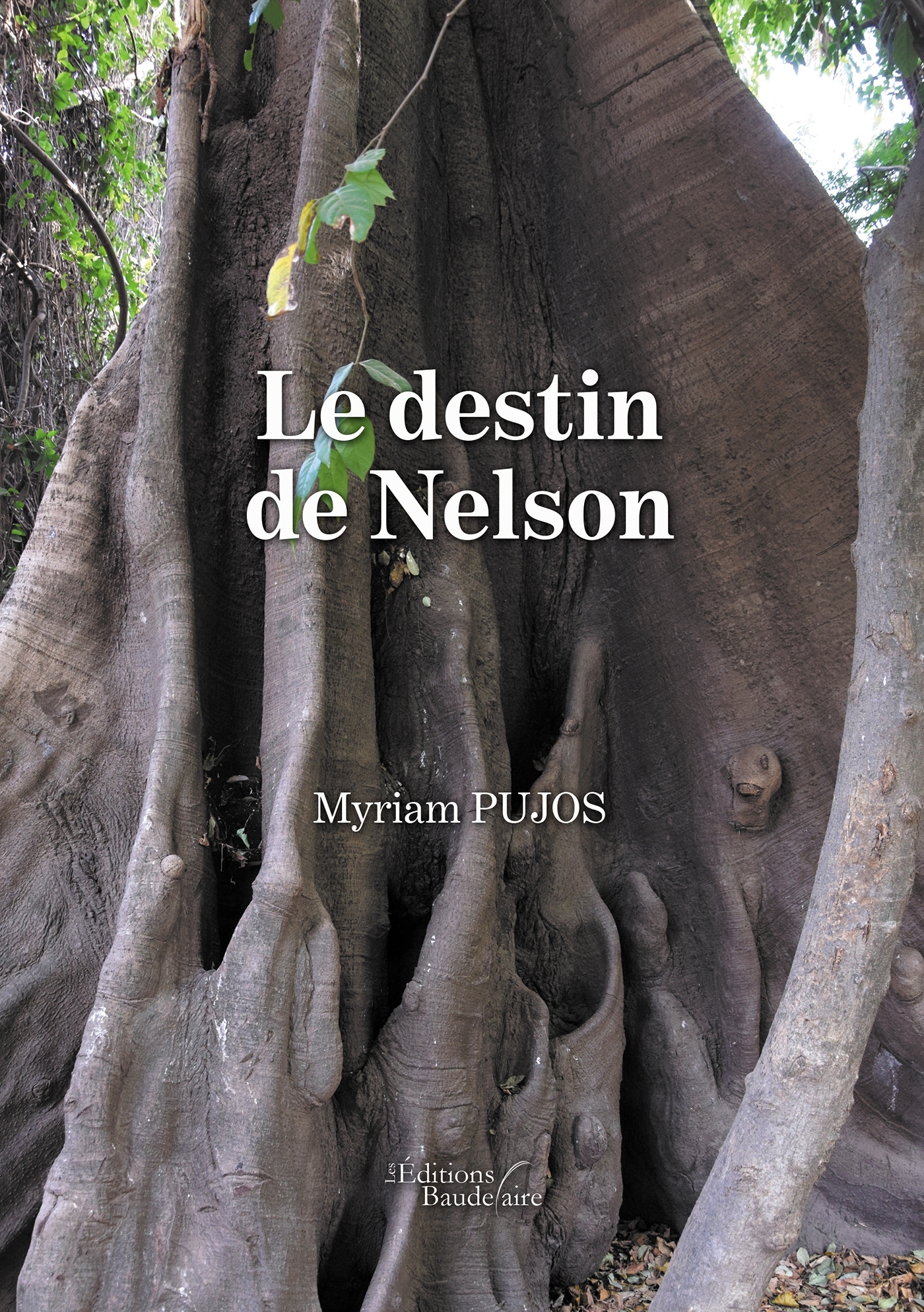 Le destin de Nelson (9791020346780-front-cover)
